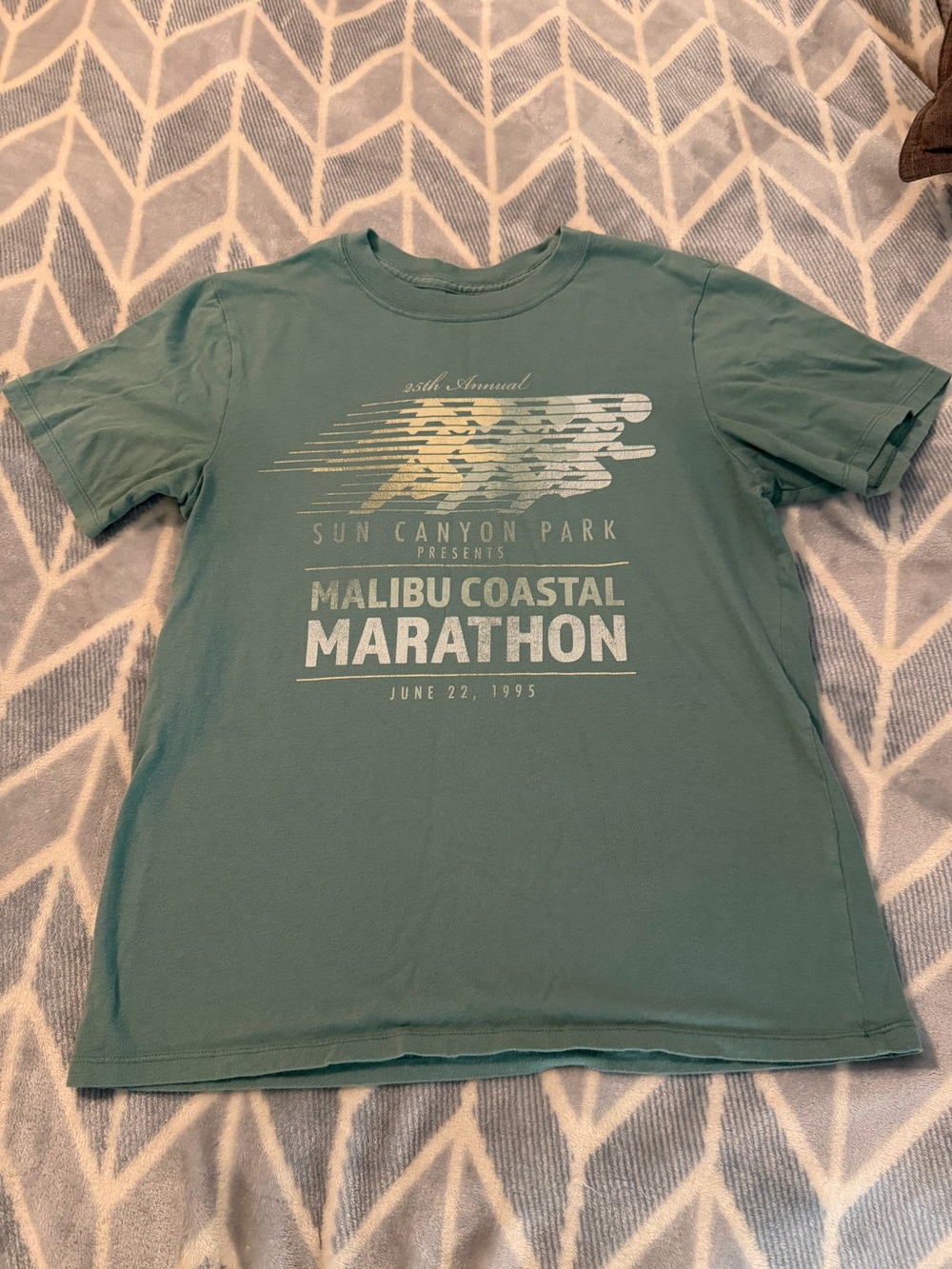 A&F Malibu Coastal Marathon Graphic Tee